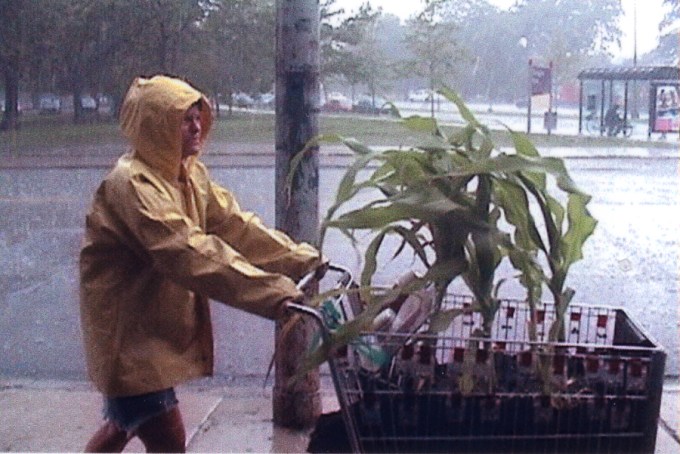 Rainy day to travel (Field Trip by Nance Klehm)